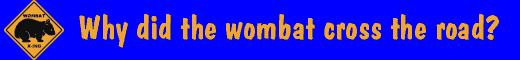 Wombat t-shirts