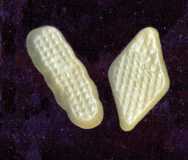 White Wine Gums