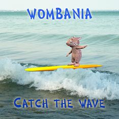 Surfing Wombie Poster
